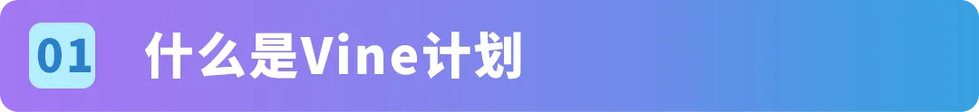 注意！亚马逊Vine计划规则收紧，严禁合并违规变体
