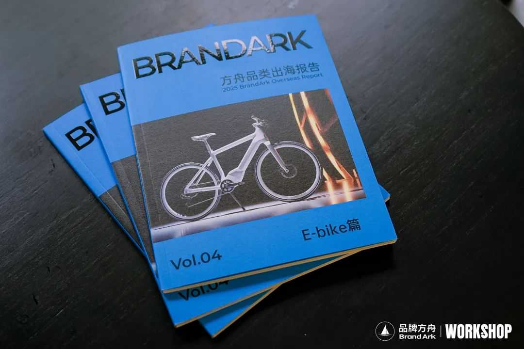 拿下30%市场份额,E-bike头部大卖拿捏百万用户!