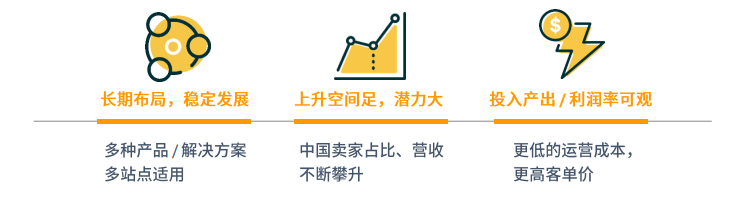 亚马逊中东站点怎么样？