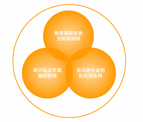 亚马逊印度站点怎么样？