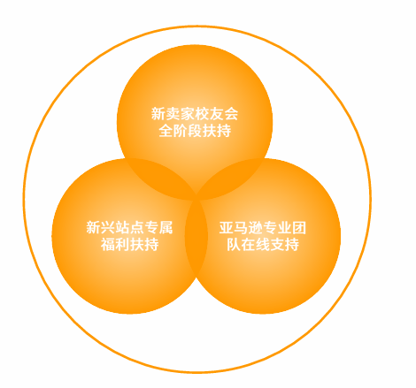 亚马逊新加坡站点怎么样？
