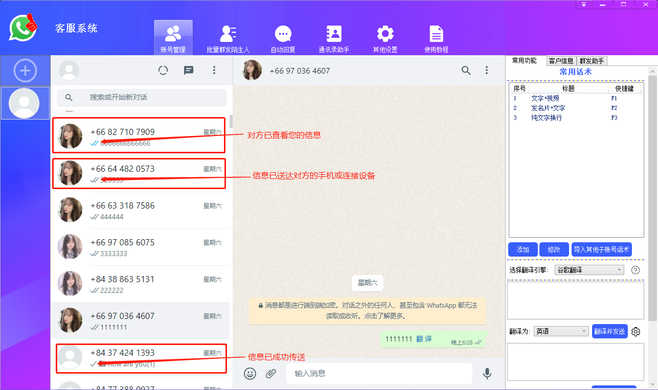 whatsapp客服系统