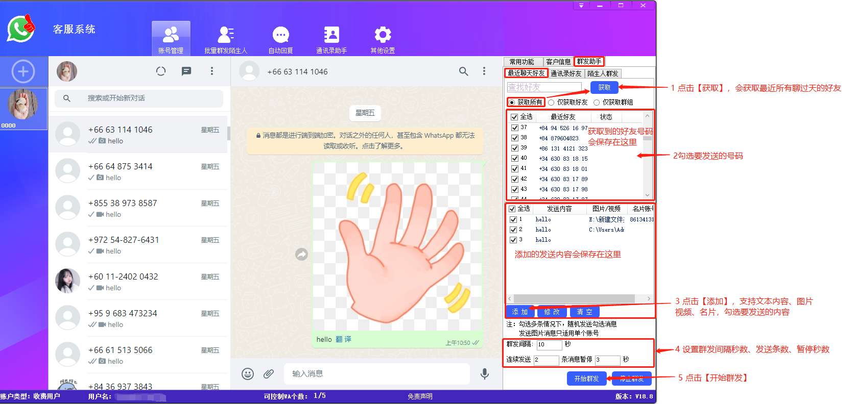 whatsapp聊粉