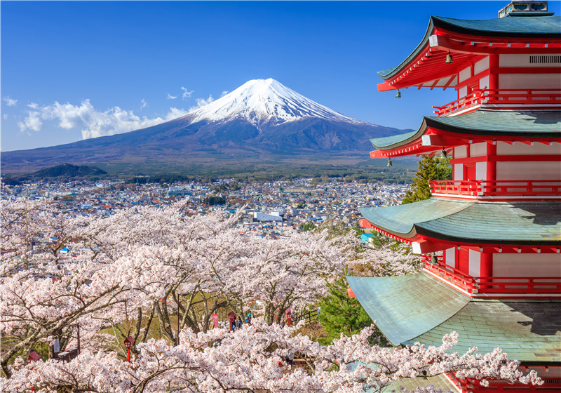 亚马逊日本站有哪些优势