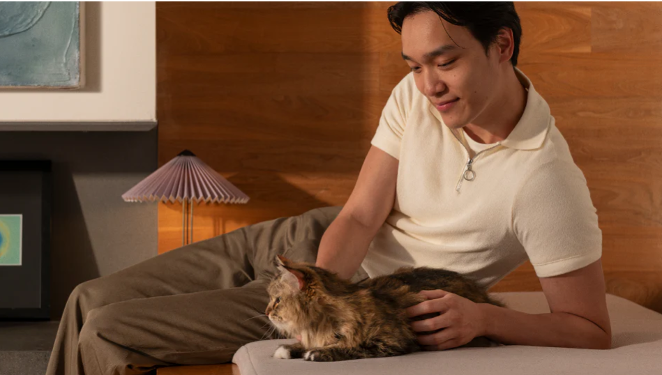 智能宠品出海热!真风口 or 伪需求?