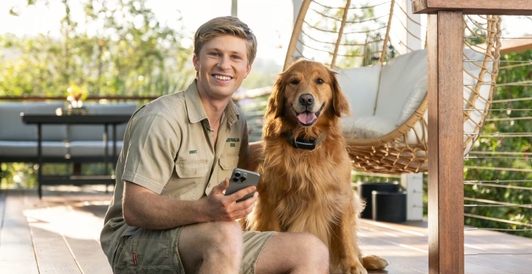 智能宠品出海热!真风口 or 伪需求?