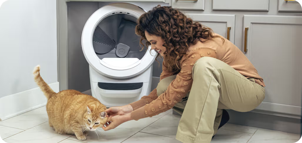 智能宠品出海热!真风口 or 伪需求?