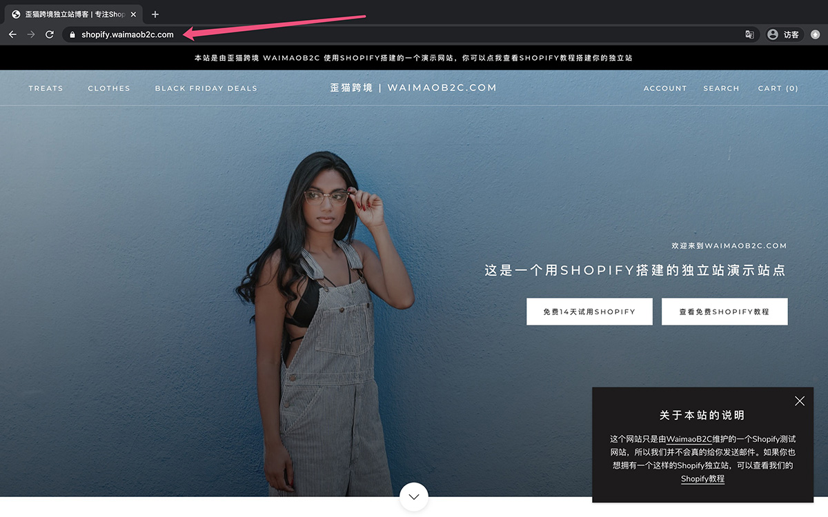 通过子域名访问Shopify网站